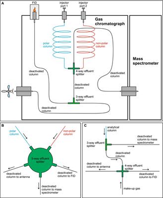 GC-MS/FID/EAD: A method for combining mass spectrometry with gas chromatography-electroantennographic detection